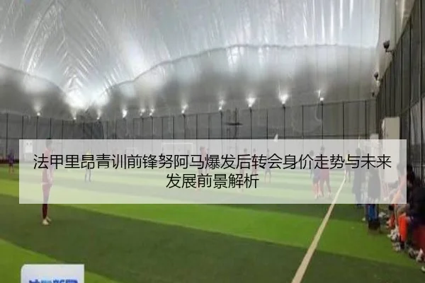 法甲里昂青训前锋努阿马爆发后转会身价走势与未来发展前景解析