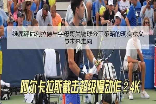 雄鹿评估利拉德与字母哥关键球分工策略的现实意义与未来走向 - kaiyun